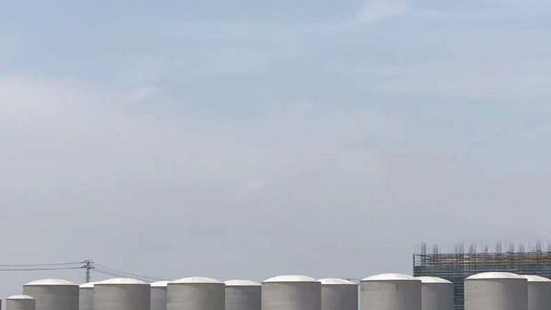 填料蒸馏塔：揭秘其工作原理与图解**